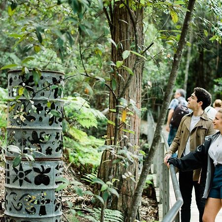 Хостел Blue Lyrebird Living Blue Mountains Катумба Екстер'єр фото